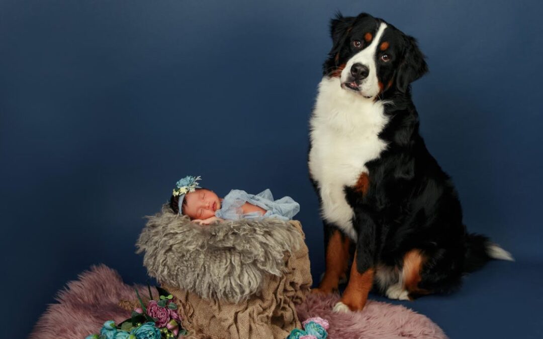 What to Expect During Your Pet and Baby Photography Session